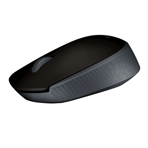 Mouse Usb Óptico sem Fio M170 Preto - Logitech