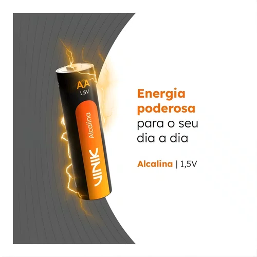 Pilha Alcalina AA C/2 1.5V Vinik VP2AB2A