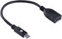 Adaptador Usb 2.0 Fêmea X Tipo C Otg 20CM Acotgu-20 - VINIK
