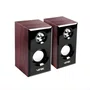 Caixa de Som USB 6W RMS Vinik Wood WD6W Preto/Madeira